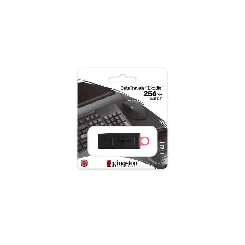 MEMORIA FLASH KINGSTON 256 GB USB 3.2 GEN 1 (DTX/256GB)