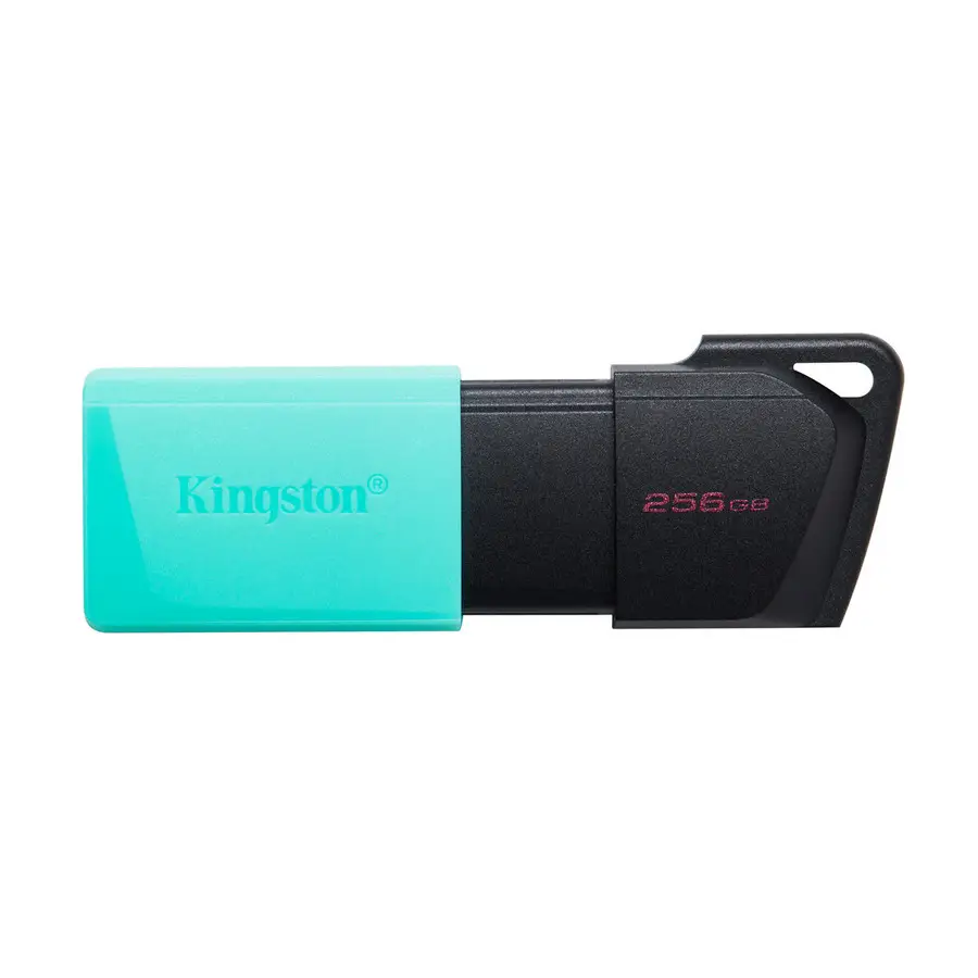 MEMORIA FLASH KINGSTON 256GB USB 3.2 GEN 1 EXODIA M(DTXM/256GB)